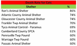 Cat Death Rate 2014
